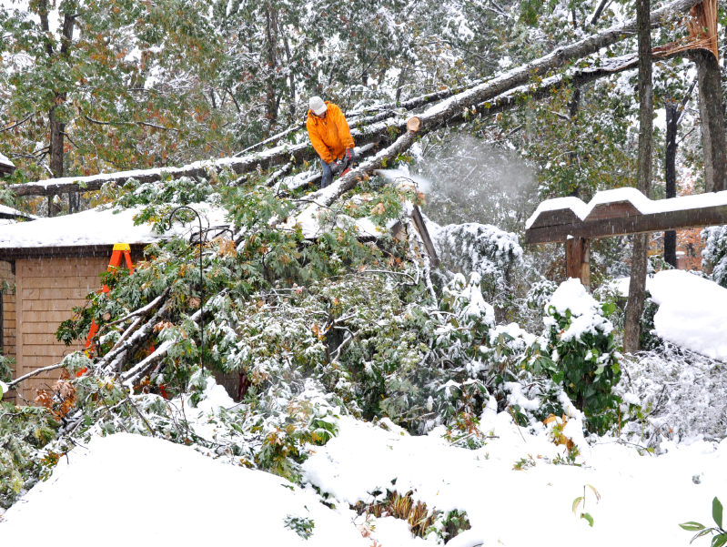 iStock winter storm damage