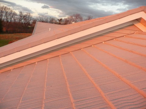wow_wilson_roof_5.jpg