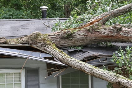 storm_damage_image