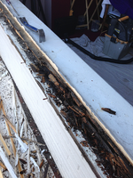 window_wood_rot