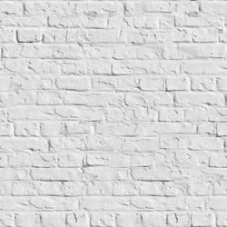 Should I Paint My Brick Home? The Pros & Cons of Painting Brick