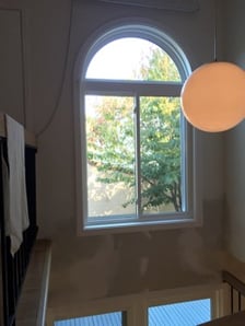 woot_rot_after_window.jpg