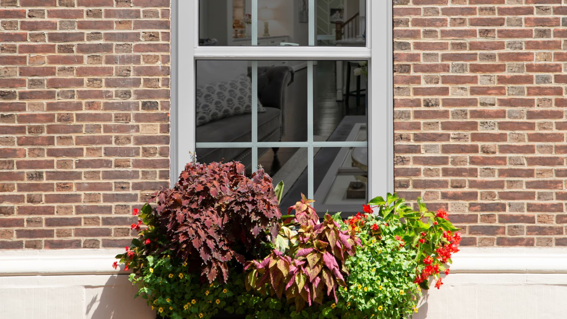 single double hung windows