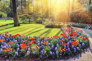 It’s Time To Spring Into Action: 3 Simple Reasons To Improve Your Home