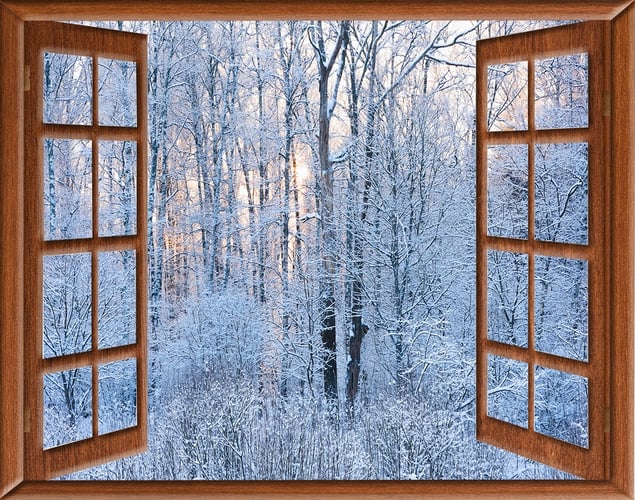 casement replacement windows.jpg