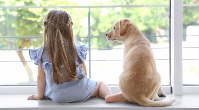 window sill.jpg