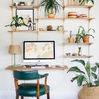 plant-decor.jpg