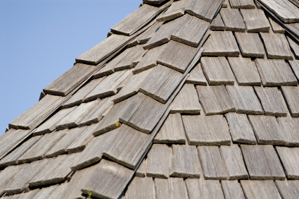 cedar_roof-resized-600